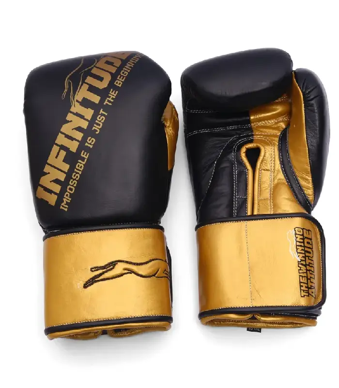 Harrier Pro Boxing Gloves Black & Gold