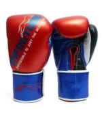 Harrier Pro Boxing Gloves Red & Blue