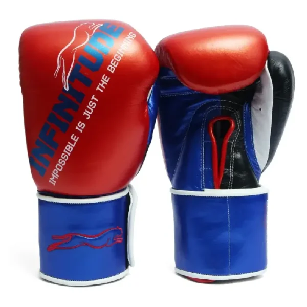 Harrier Pro Boxing Gloves Red & Blue