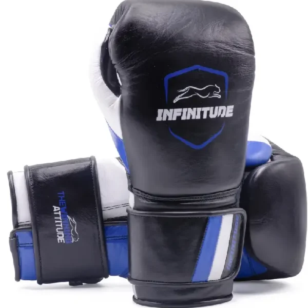 Raider Pro Boxing Gloves Black & Blue