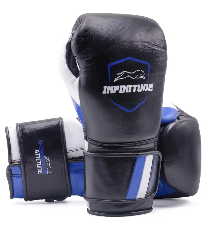 Raider Pro Boxing Gloves Black & Blue