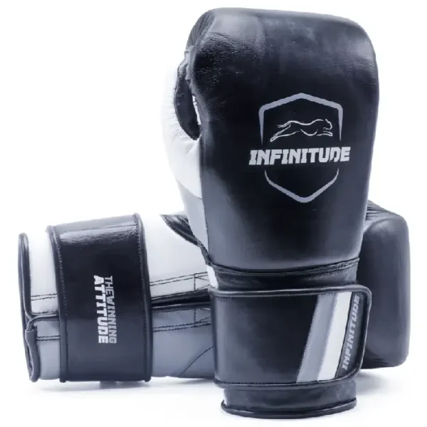 Raider Pro Boxing Gloves Black & Gray