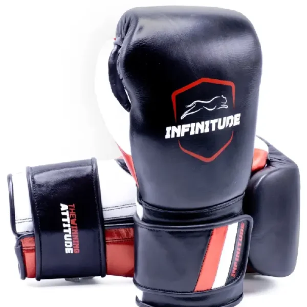 Raider Pro Boxing Gloves Black & Red